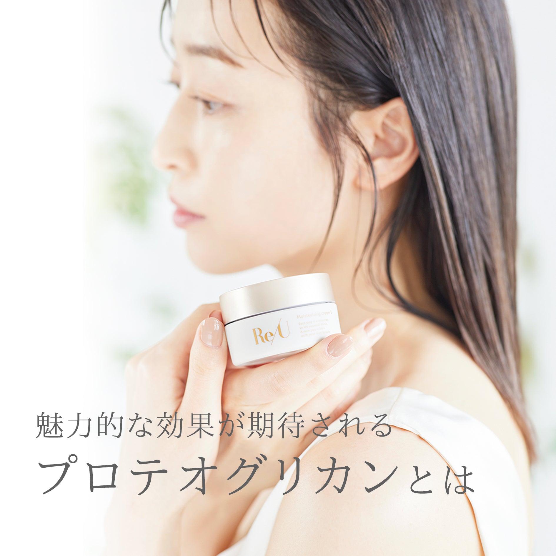 魅力的な効果が期待されるプロテオグリカンとは