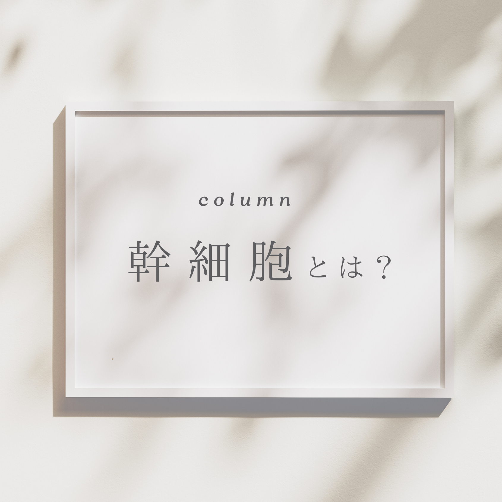 幹細胞ってなに?