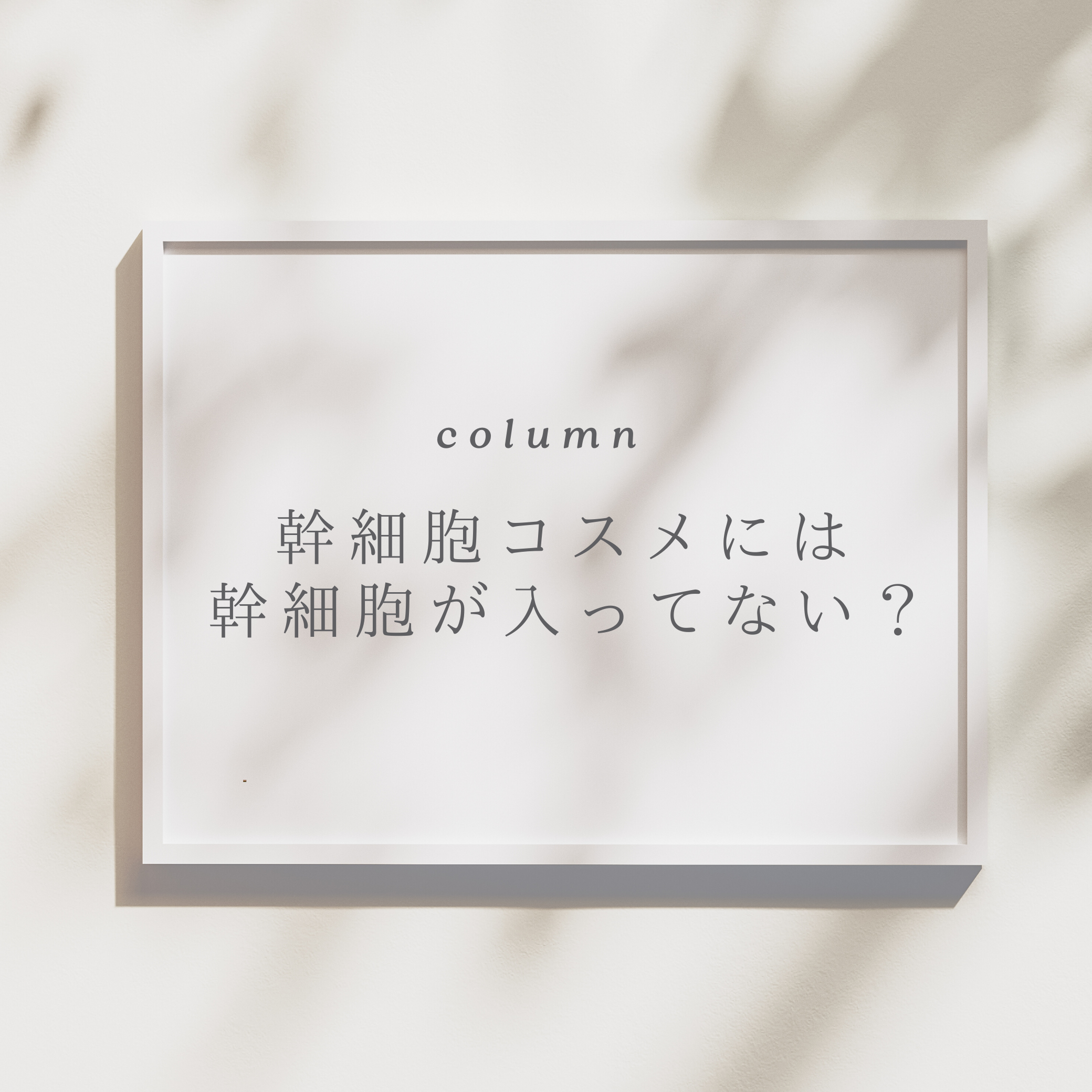 幹細胞コスメには幹細胞は入ってない?