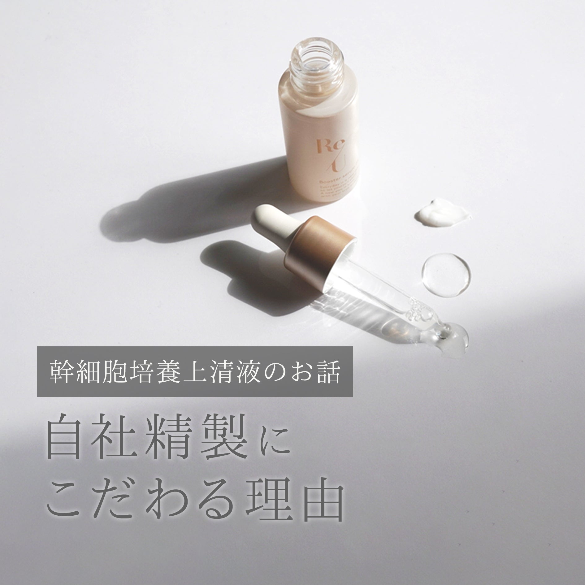 幹細胞培養上清液のお話し ~自社精製にこだわる理由~