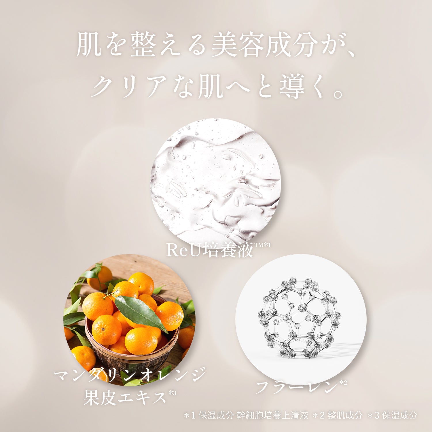 Moist lotion 5
