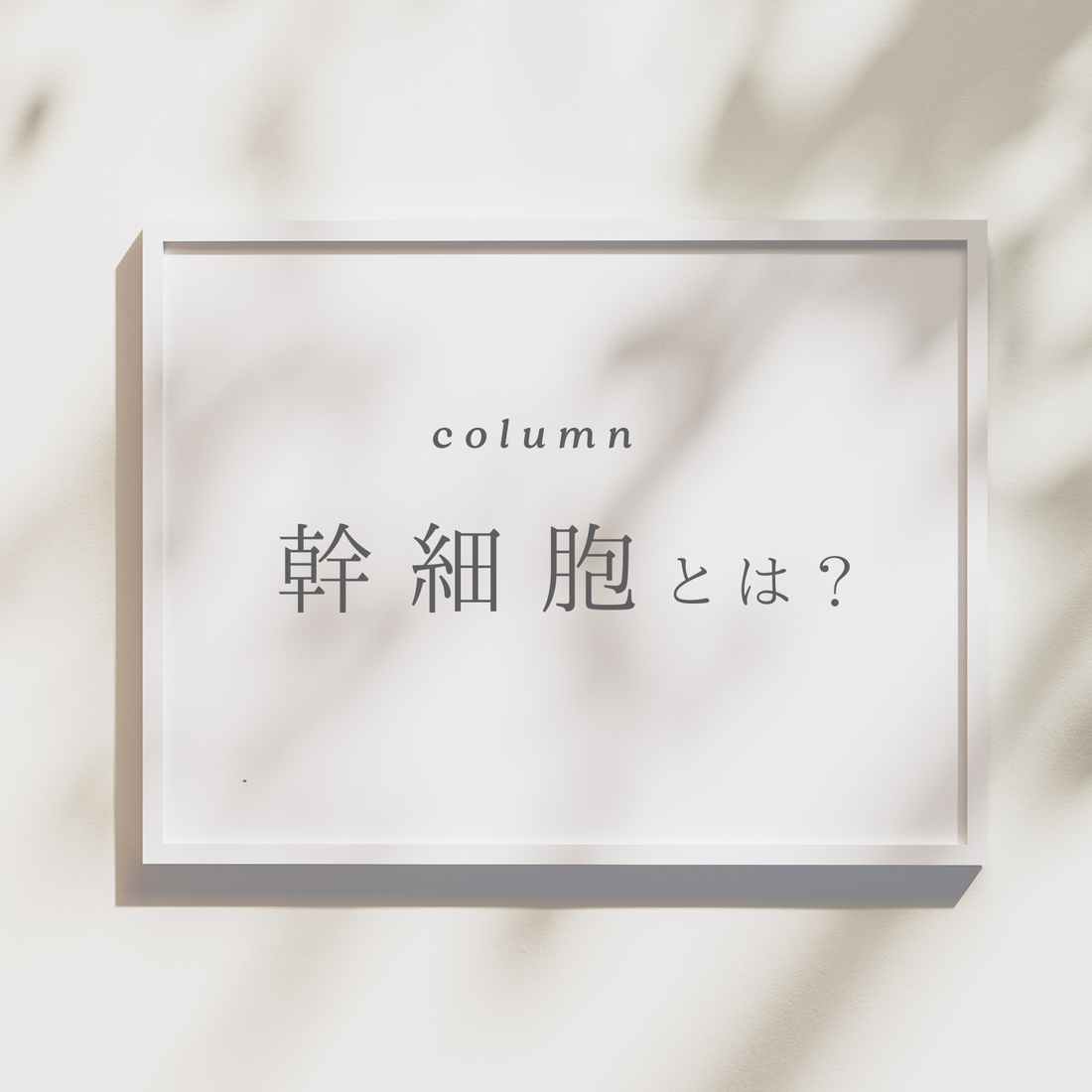 幹細胞ってなに？