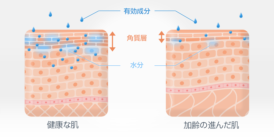 肌表面の水分量は40歳前後をピークに徐々に低下していく